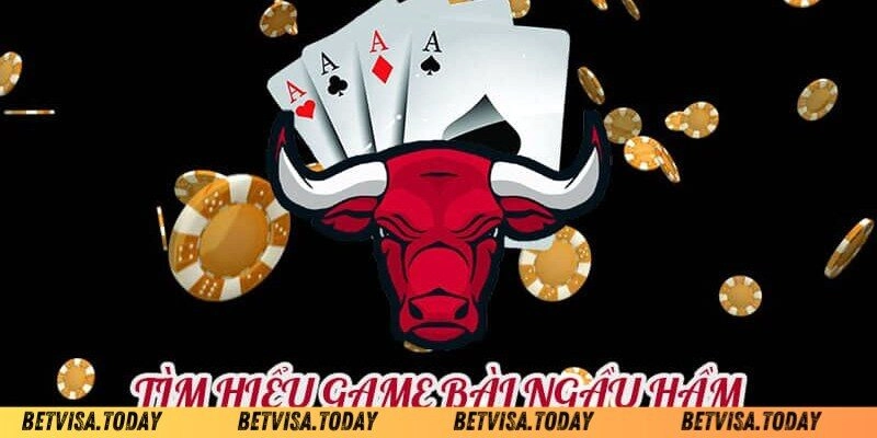 Giới thiệu sơ lược về cách chơi bài ngầu hầm Betvisa