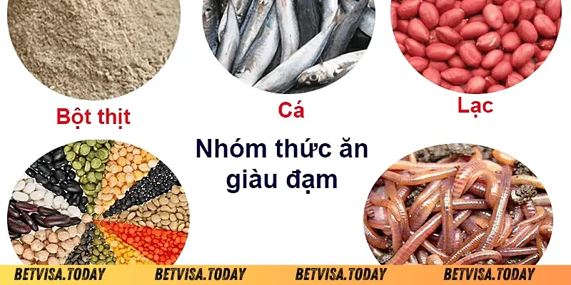 lưu ý khi pha trộn ngũ cốc