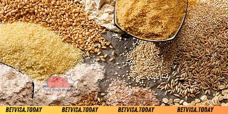 Cách tăng cân cho gà chọi Betvisa chi tiết