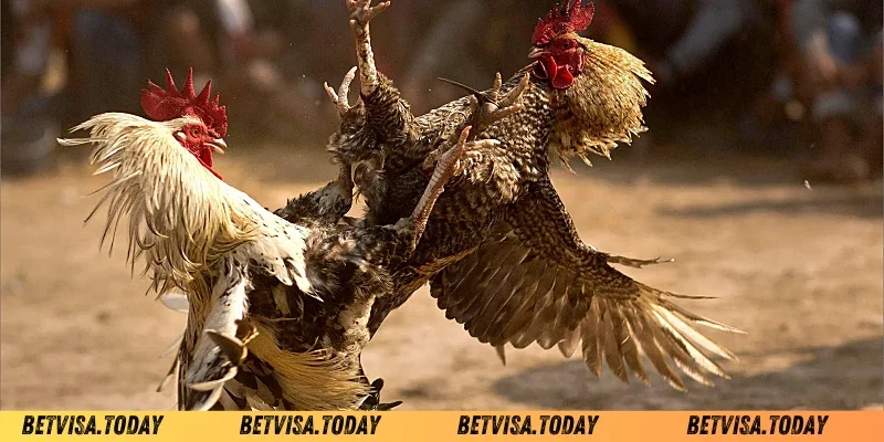 Vảy Ác Nghiệt Hổ Báo