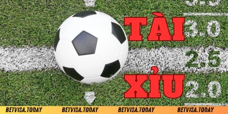 Tổng quan chung về kèo tài xỉu Betvisa