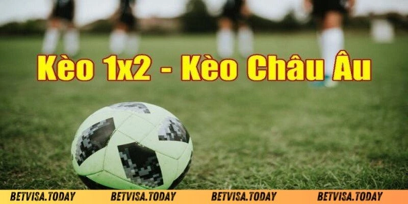 Trả lời về kèo châu âu Betvisa là gì?